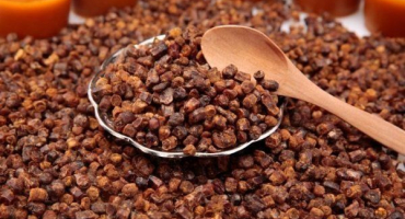 Co je včelí včela? Jeho výhody a aplikace